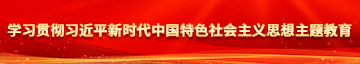 调教骚逼视频网站学习贯彻习近平新时代中国特色社会主义思想主题教育